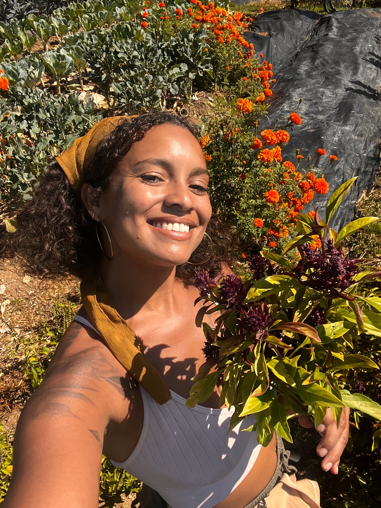 The Deep Dive
