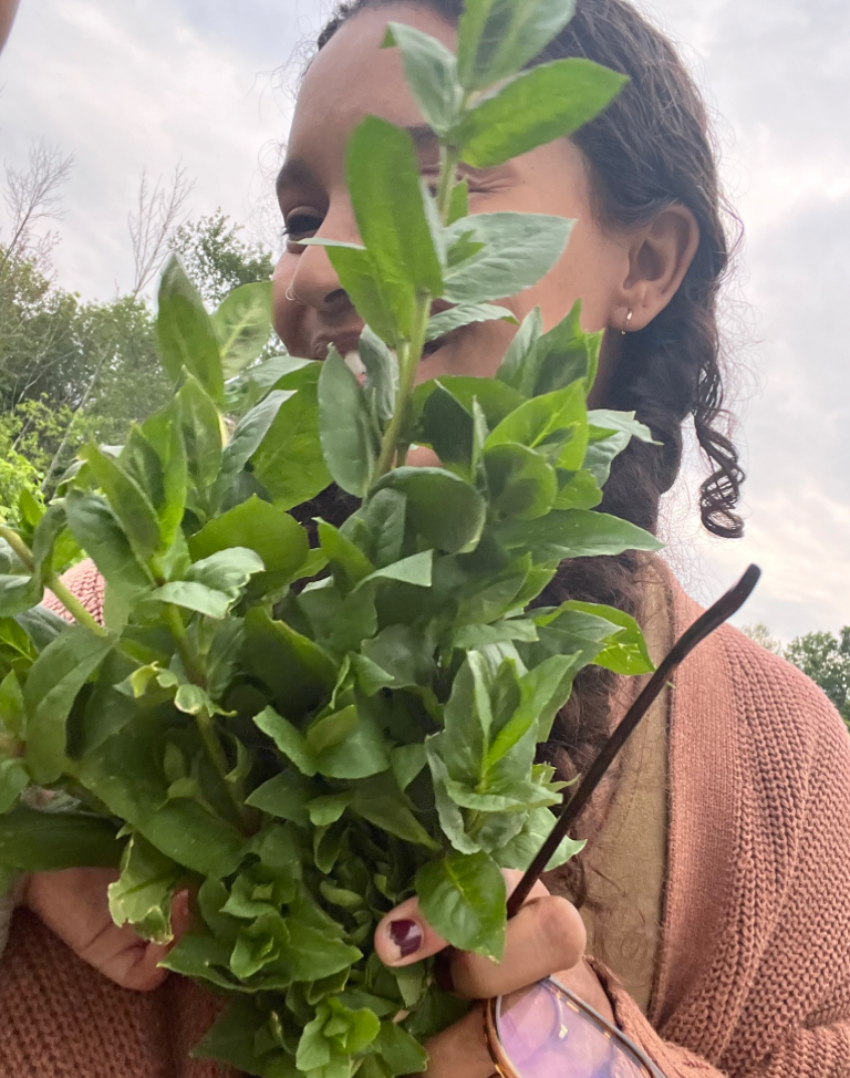 Northeast Early Spring Foraging
