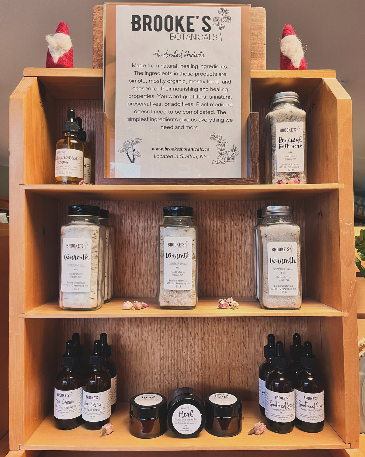 Wild Healing Apothecary Workshop Series