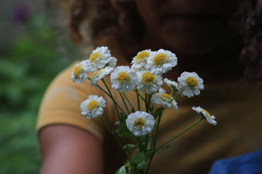 Wild Healing Apothecary Workshop Series