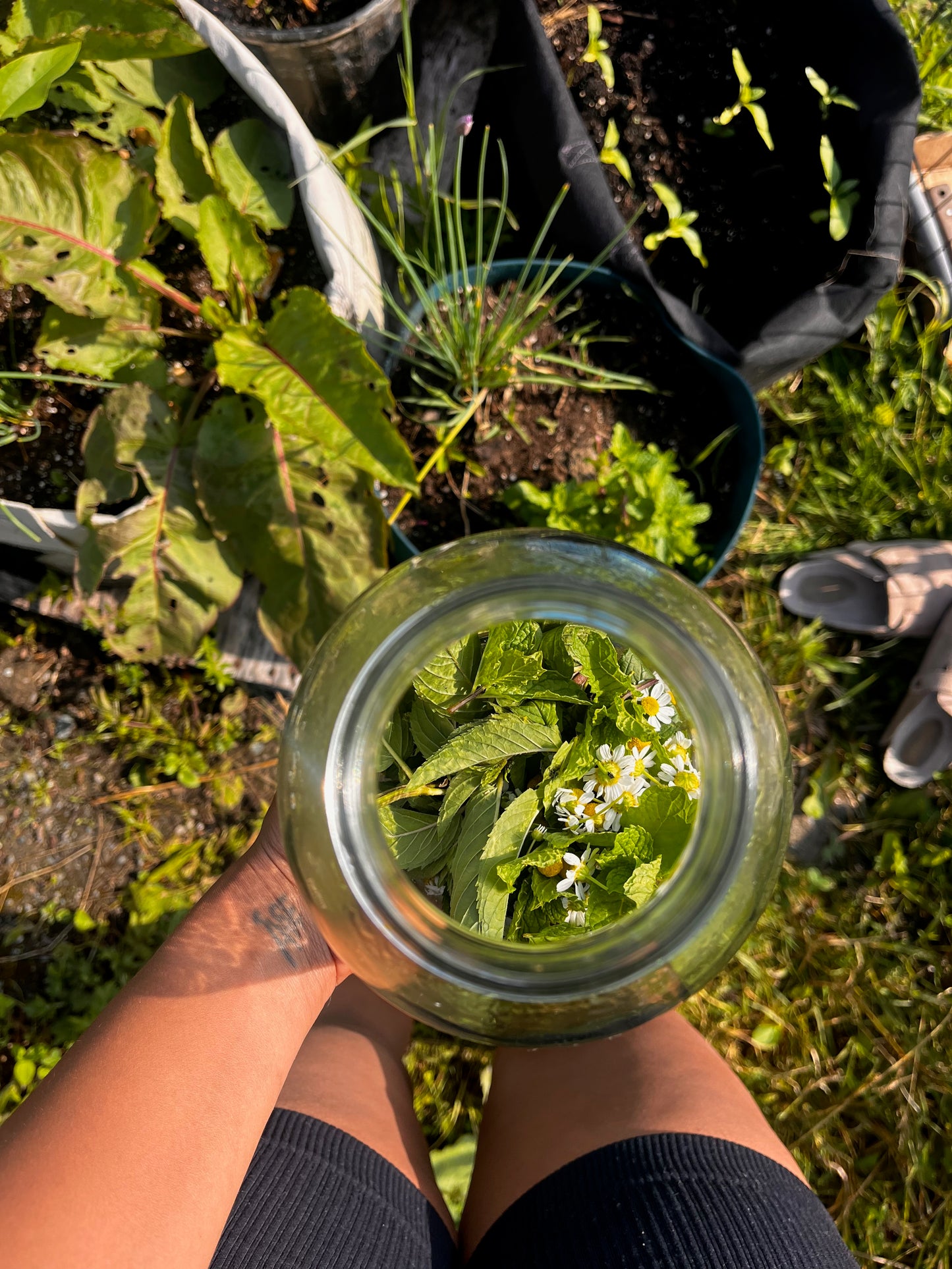 The Deep Root Intensive