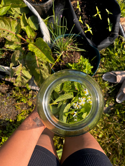 The Deep Root Intensive