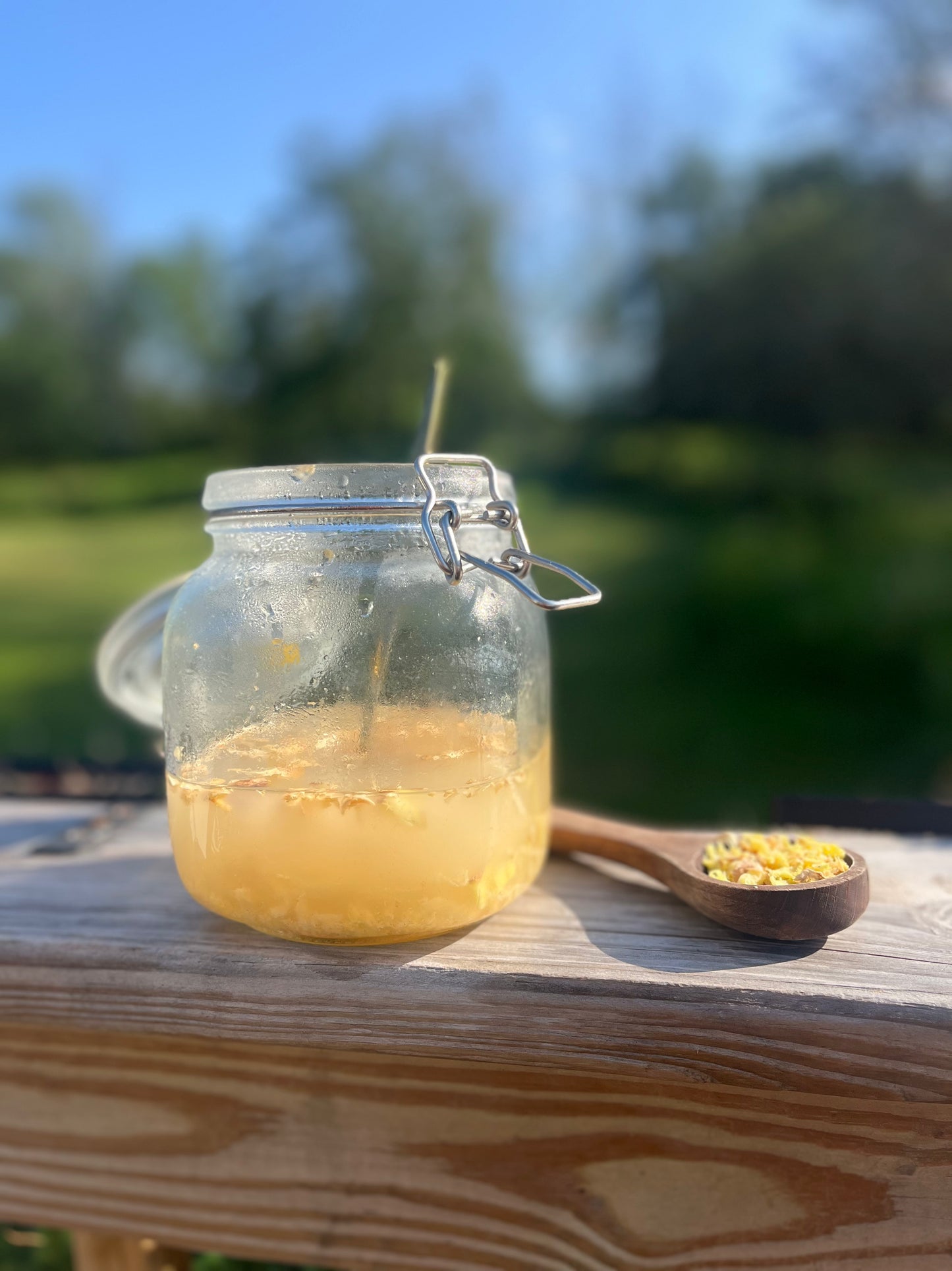 Herbal Fermented Sodas - EBook