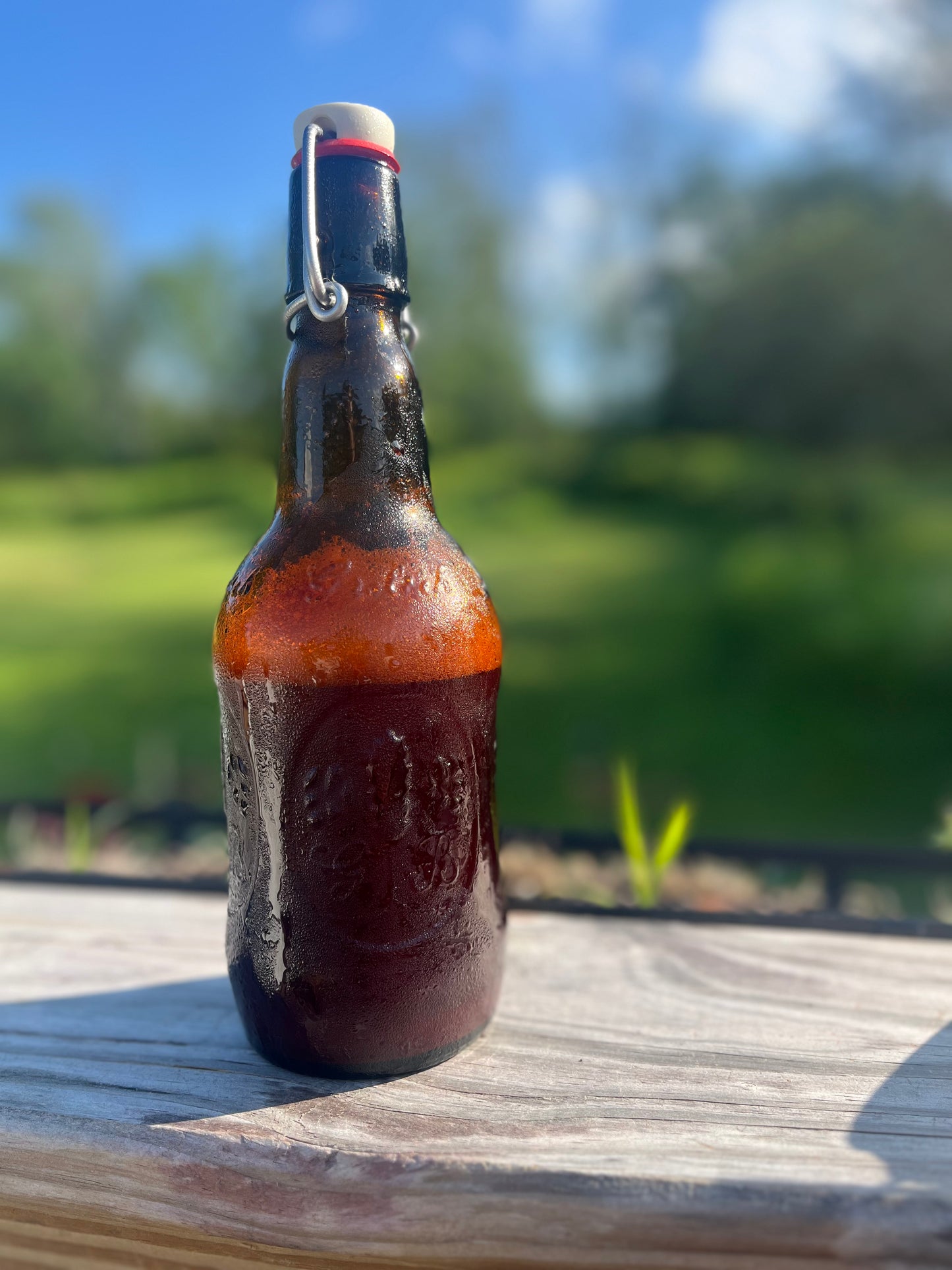 Herbal Fermented Sodas - EBook