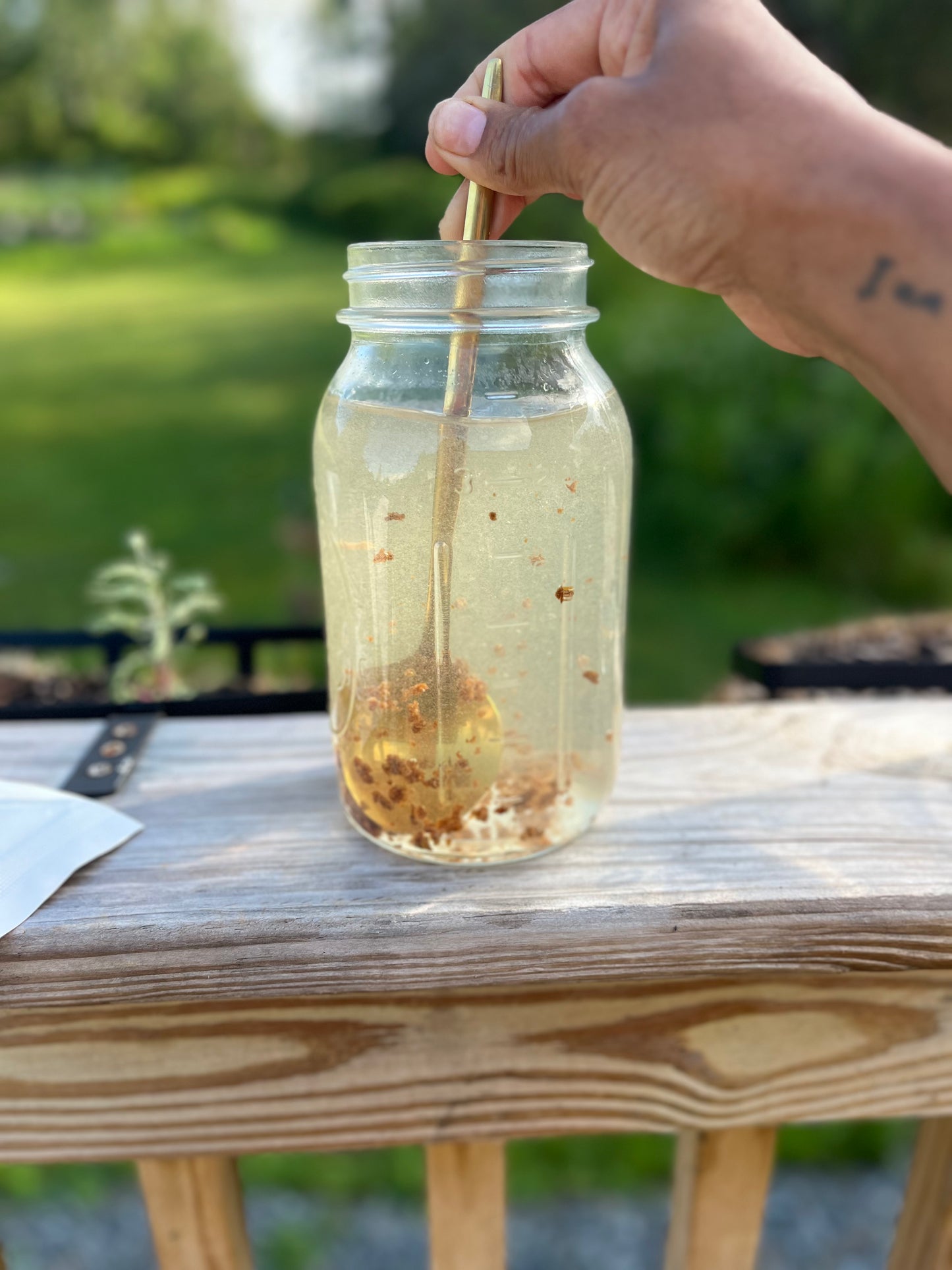 Herbal Fermented Sodas - EBook