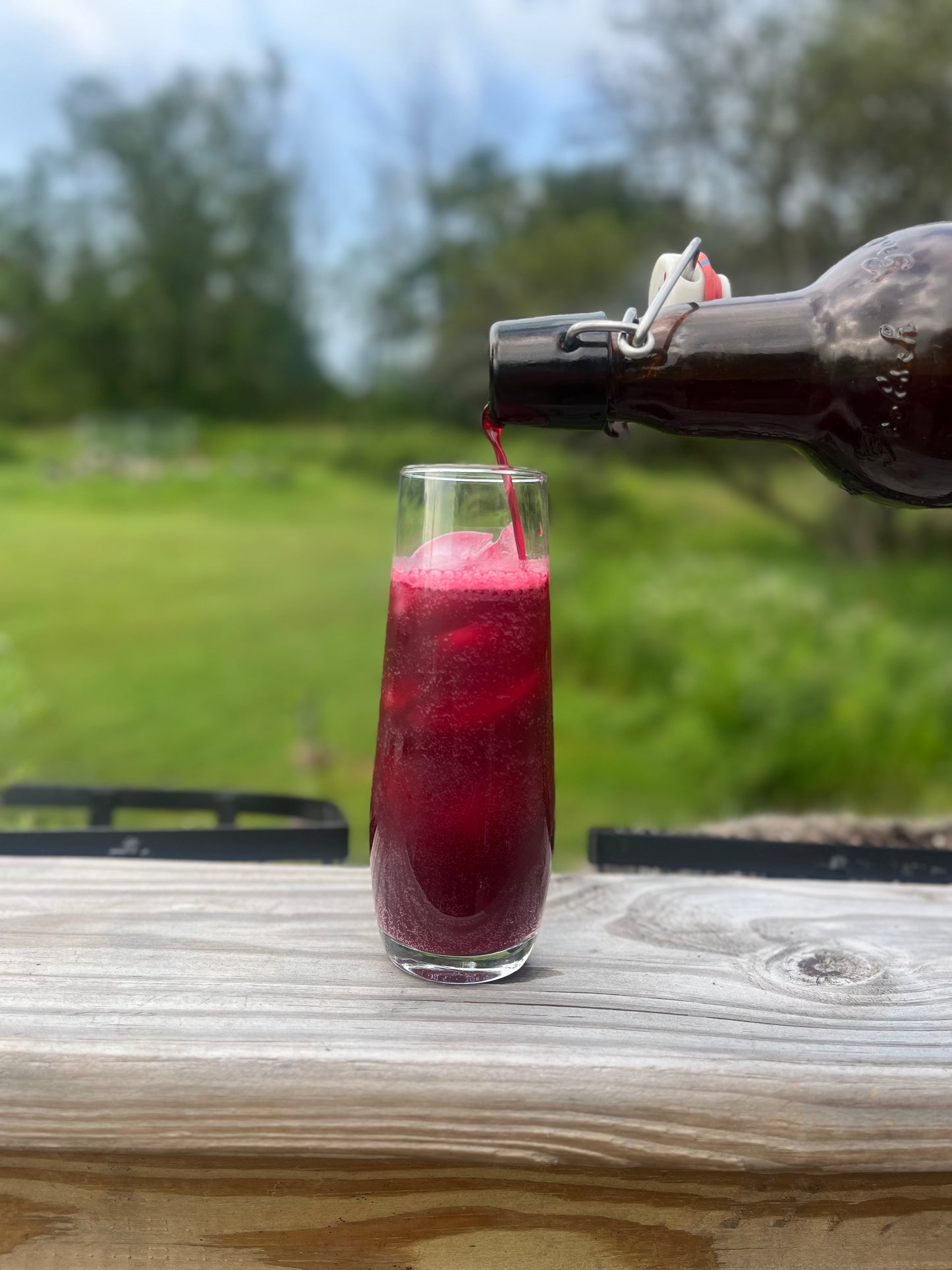 Herbal Fermented Sodas - EBook