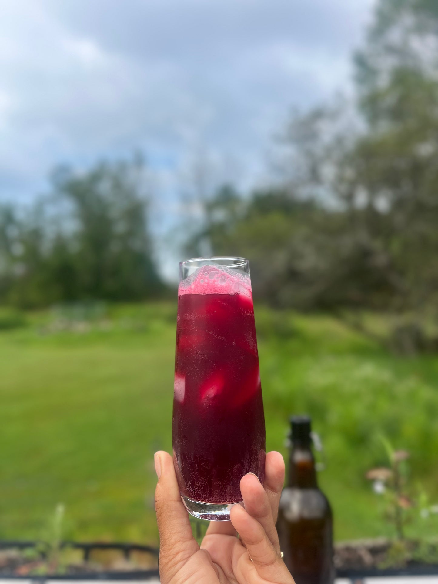Herbal Fermented Sodas - EBook