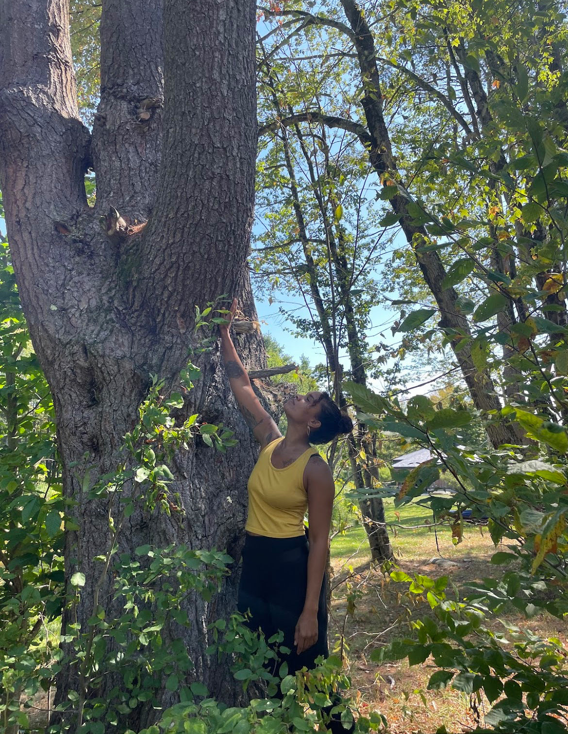 The Deep Root Intensive