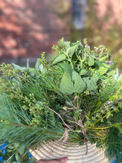 Wild Healing Apothecary Workshop Series