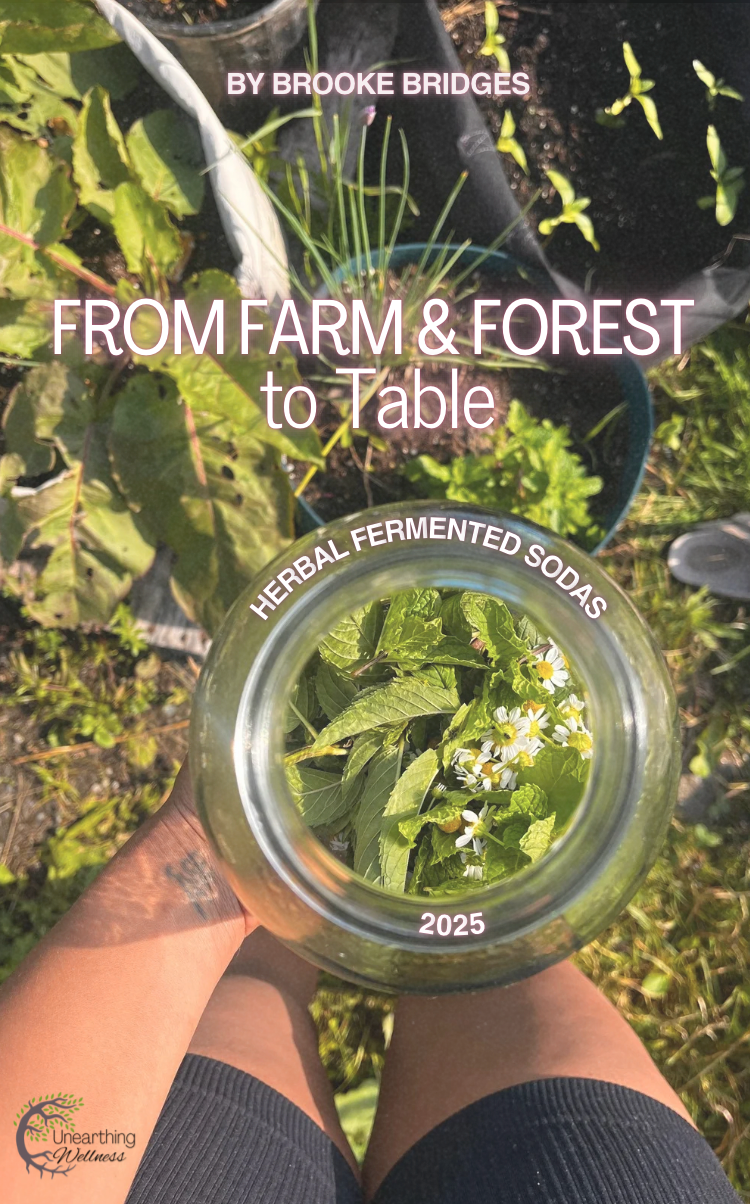 Herbal Fermented Sodas - EBook