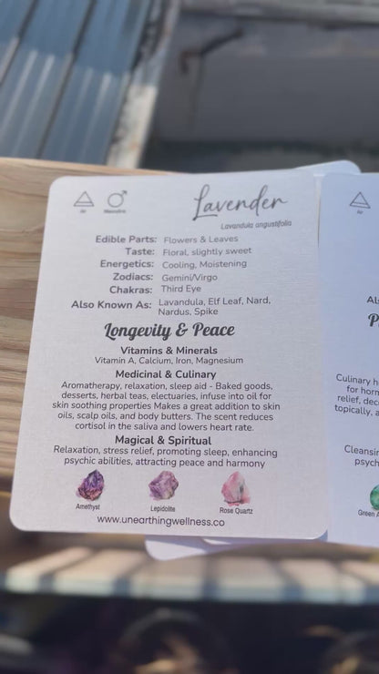 Unearthing Herb Cards with Companion Book